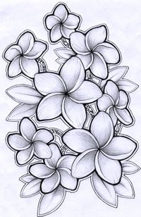 January 2013 - plumeria means perfection and new beginnings in the language of flowers