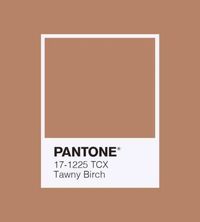 Colori Pantone autunno/inverno 2020/2021 · Web Designer Laura Lonighi
