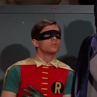 robin 1966 icons