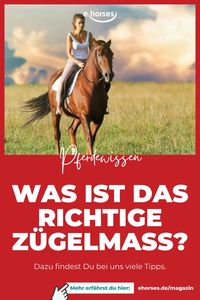 Wie lang soll der Zügel in Schritt, Trab und Galopp sein? Wie in der Versammlung? Welches Zügelmaß ist für die Verstärkung geeignet? Welches beim Reiten verschiedener Lektionen? Gibt es dabei Unterschiede? #pferdewissen #pferdeliebe #ehorses