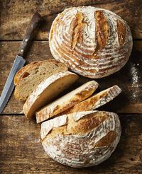 Whole-Wheat Sourdough Starter
