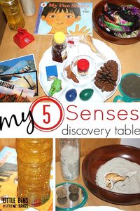5 Senses for Preschool Science