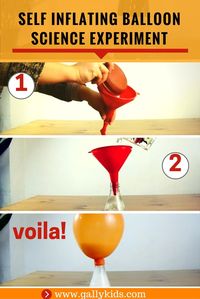 Step by step instructions, explanation and images of the self inflating balloon science experiment.