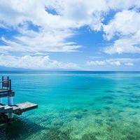 Türkis, grün, blau... das Meer im Bunaken Meeresnationalpark schimmert in den schönsten Farben. Willst Du nicht eintauchen in diese unberührte Paradies? Unser indonesisches Mitglied Bunaken Oasis Dive Resort freut sich auf Deinen Besuch...