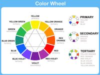 A Guide To Color Theory