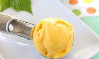 Sorbet mandarine pour 8 personnes - Recettes Elle à Table - Elle à Table