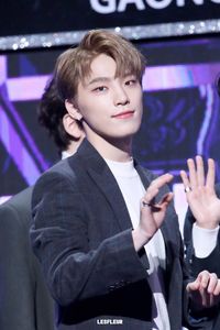 190123 Gaon Chart Music Awards #chan #leechan #dino #세븐틴 #seventeen