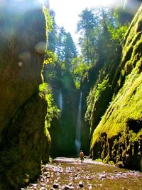 Oneonta Gorge Near Portland is the Area's Most Unique Rock Formation