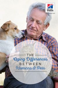 Have you ever looked at your dog or cat and wondered, "Just how old are you?" Aging pets may get a little grayer or walk a bit slower, but it can be difficult to know exactly how your senior pets are maturing. Do they simply look as if they're getting old, but physically and mentally are still middle-aged? Maybe they appear young and act spry, but are slowing down. It's best to know what age level your furry family members are at so you can prepare yourself and your home to best take care of the
