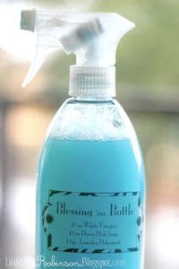 Blessing in a Bottle - also known as "kitchen Magic" This stuff will get through anything, make your sink and shower shine like new, and save you when just about nothing else works.