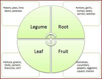 Crop rotation -- get the most from your urban/suburban garden with knowledge of natural cycles