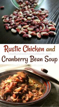 Rustic Chicken Cranberry Bean Soup - One Hundred Dollars a Month