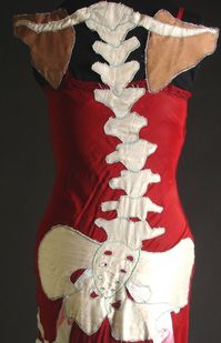 Scapular (back)