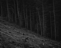 As we wander... on Behance