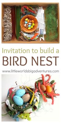 Invitation to Build a Bird Nest | Little Worlds, Big Adventures