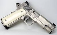 NIGHTHAWK CUSTOM 1911 VIP COMMANDER 45acp NICKEL FINISH GIRAFFE ...