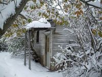 Cozy farm house doorstep, yes? Deer were bedding here last summer.