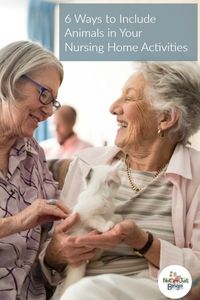 Learn how to include animals in your senior activity program