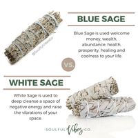 Blue Sage vs. White Sage. Both are amazing and serve great purposes, but it's important to know the difference for your specific needs. Comment below and tell us if you learned something new! Click the link in our bio to shop sage now. - #soulfulvibesco #smudging #bluesage #whitesage #cleansing #prosperity