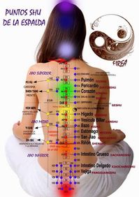 Reflexologia: Puntos Shu de espalda