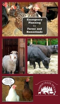 Tips on emergency planning for farms and homesteads.