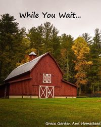 Dreaming of starting a farm? There are 11 essential things to do while you're saving money and counting down the days. Written by family farmers.