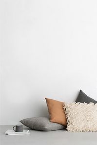 Flec Cushion