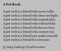 The Poem Farm: A Pet Rock - Friend of All People