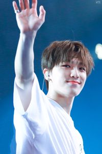 190830 Ode To You Seoul #chan #leechan #dino #세븐틴 #seventeen