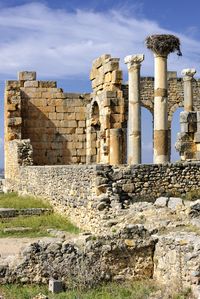 Ancient ruins at Volubilis, Morocco