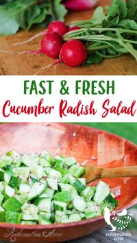 CUCUMBER RADISH SALAD- This garden fresh salad is so quick to make & so light, cool, and refreshing that it's PERFECT for those hot summer days! #salad #cucumber #radish #recipe #summer #farmtotable #reformationacres