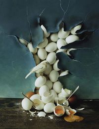 Tim Walker Soars With Bird Still Lifes In 'Come To Dinner' For Vogue Italia May 2015 - 3 Sensual Fashion Editorials | Art Exhibits - Women's Fashion & Lifestyle News From Anne of Carversville