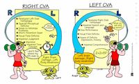 Cva test