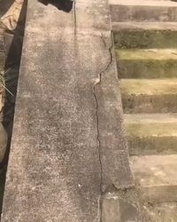 This cat is living its best life. #funnycat #catfunny