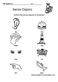 pin on worksheets