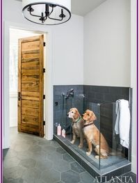 26+ Dog Houses That Even Dog Owners Cannot Say No • winzipdownload.org
