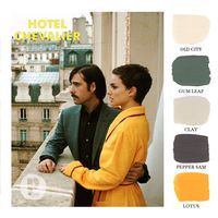 Wes Anderson - Hotel Chevalier / Color Palette