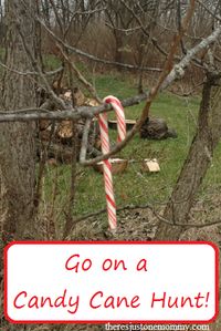 Why leave the fun of hunting prizes to the Easter egg hunt? Hold your very own candy cane hunt with the kids this winter and let the magic begin!