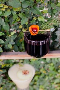 alchemist blog Winter Cocktails you must try | alchemy fine home - Alchemy Fine Home