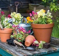 Watering your container garden plants without drowning them is serious. Learn how to prevent them from drowning with these tips on drainage holes.
