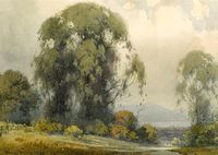 Eucalyptus with the bay in the Distance by Percy Gray - watercolor