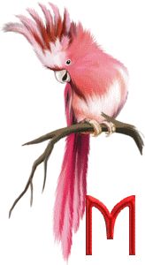 ALPHABET OISEAU (1)17-09-2016