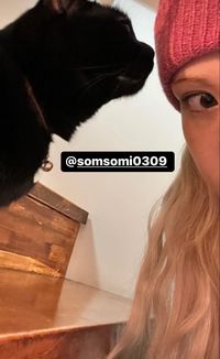Zorro IG story 201022