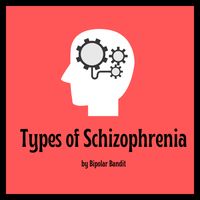 Types of Schizophrenia | Bipolar Bandit (Michelle Clark)