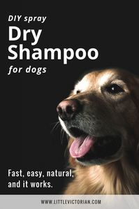 DIY dry shampoo for dogs