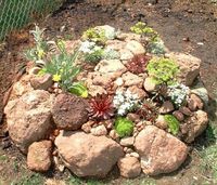 stein dekoration mit kleinen pflanzen im garten - 53 erstaunliche Bilder von Gartengestaltung mit Steinen