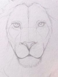 Lion face drawing | Lion face drawing, Sketchbook art inspiration, Pencil drawings of animals