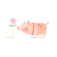 flowerPIG by Christine Pym