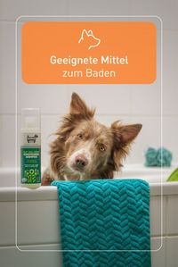 Produkte wie Babyshampoo oder normales Shampoo sind nicht für das Waschen des Hundes geeignet. Verwende stattdessen spezielles Hundeshampoo. Das schützt die Haut und ihre Fettschicht.