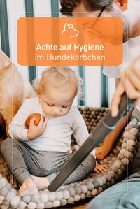 Hundebett, Decke und Kissen sollten regelmäßig von Tierhaaren und Gerüchen befreit werden. Diese Aufgabe lässt sich rasch und gründlich mit einem Staubsauger für Tierhaare erledigen. Ein Modell mit Wasserfilter und speziellen Tierhaardüsen eignet sich für diese Aufgabe bestens, denn selbst hartnäckige Tiergerüche werden dabei direkt im Wasser gebunden.